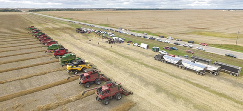 The Killarney Growing Project saw a number of volunteers help to harvest 6,406 bushels of canola for the Canadian Foodgrains Bank.