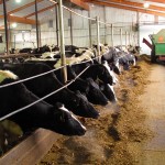 Editorial: Positioning to thrive