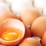 4-H foods projects teach lifelong lessons