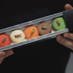 A pack of macaroons containing dehydrated insects at the Micronutris plant in Saint Orens de Gameville in southwestern France in February 2014. The company processed insects live, dehydrated or in a flour-like powder for use in pastries.