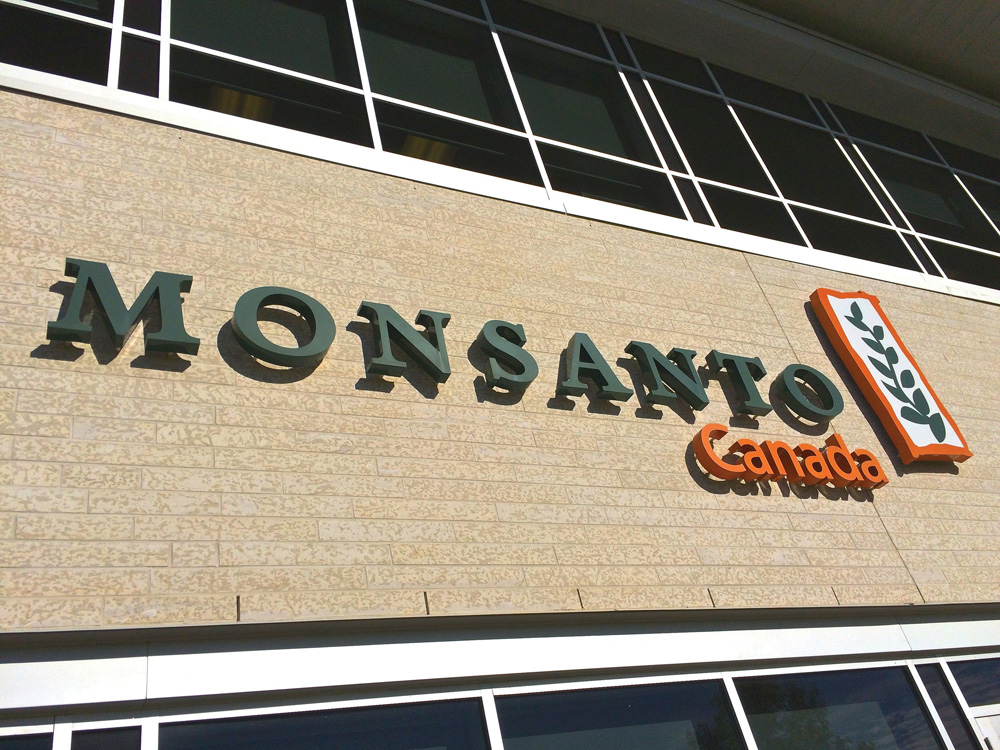 Monsanto, whose Canadian operations are headquartered in Winnipeg, has announced plans to cut over 11 per cent of its regular workforce.