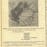 Producers reminded ready-to-cook turkeys are now the norm