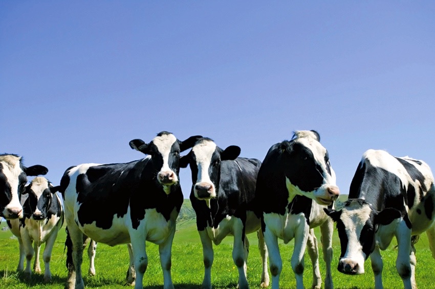 Supply management fixation may finally be coming to an end