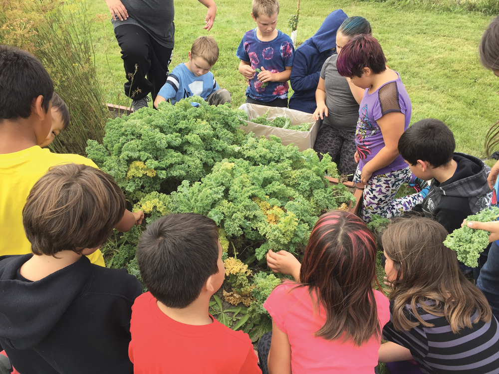 Alonsa Community School students have been finding out what a super food kale is and learning different ways we can eat it.