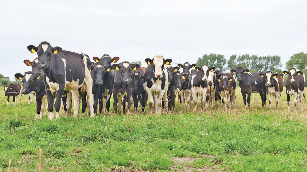 Social licence requires animal welfare