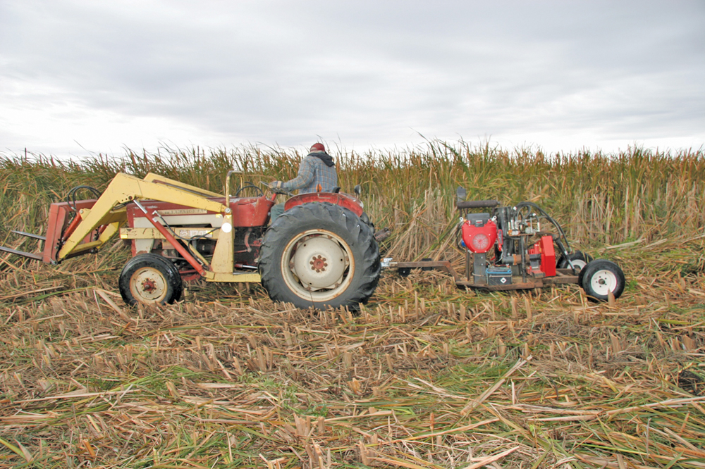 After a decade of experimentation with equipment and processes, cattail harvesting is poised to move beyond the pilot project stage.