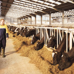 Most farmers consider themselves professionals. Some are suggesting they make it official.