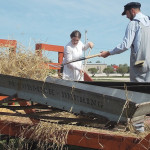 Lisa Roy and Erron Leafloor fork stooked wheat into a 1952 McCormick Deering threshing machine at the Red River Exhibition fairgrounds Aug. 18, part of a sneak preview of Harvesting Hope, scheduled for July 31 next year at Austin.