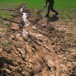 “Nearly 33 per cent of the world’s arable land has been lost to erosion or pollution in the last 40 years.” – Duncan Cameron, University of Sheffield.