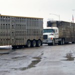 border lineup (trucks) - Glen Nicoll
051110.12