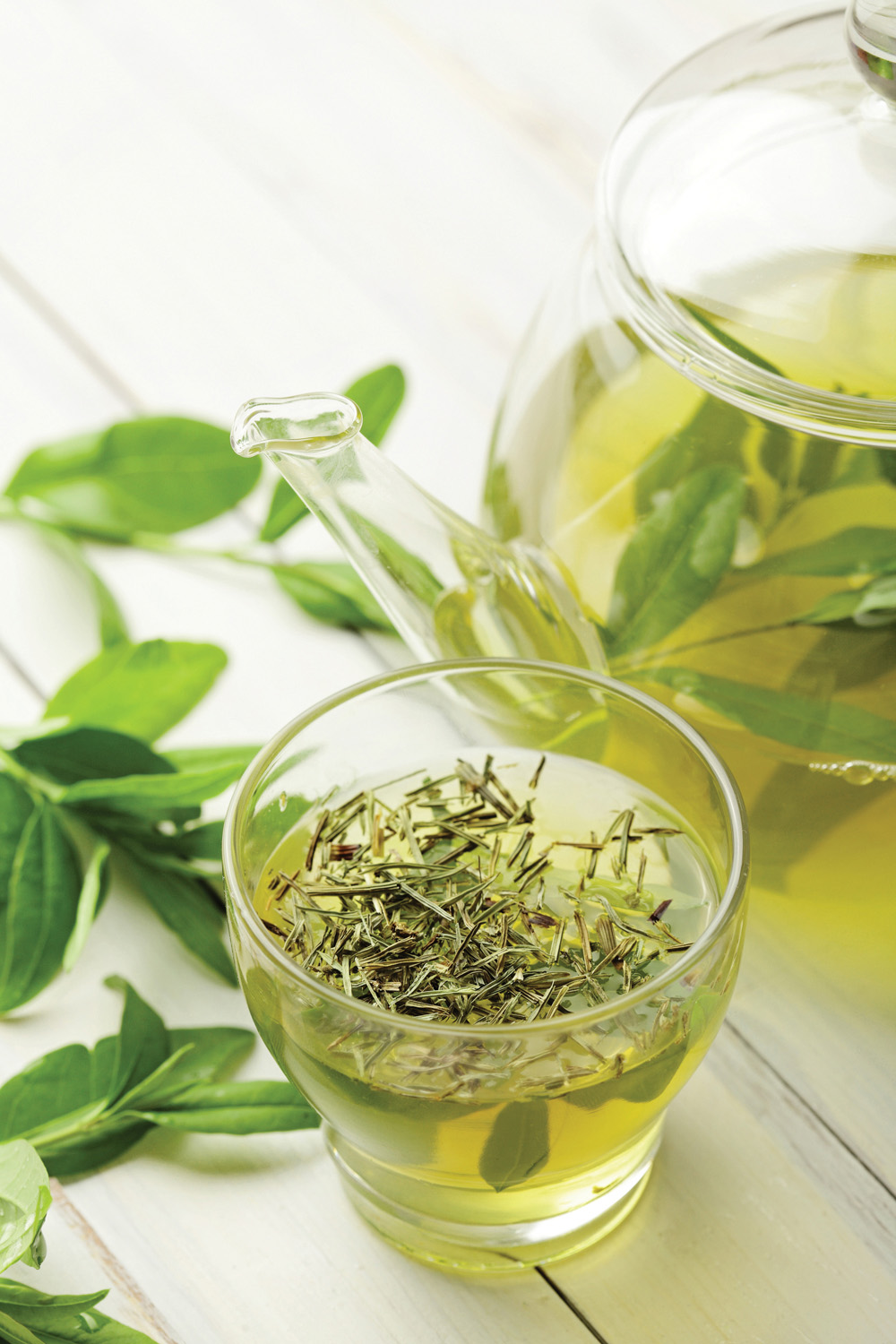 Ski to better health this winter