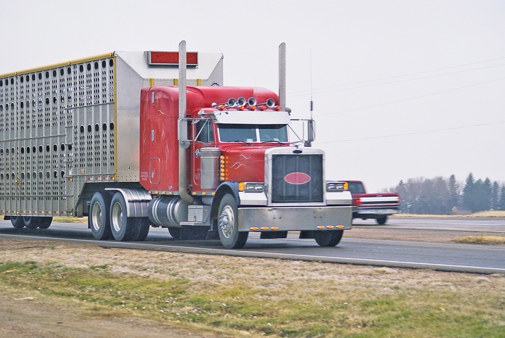 PAMI trials new technology for cleaning swine trailers