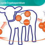 Crypto can quickly spread so you need to be vigilant and use good management practices.