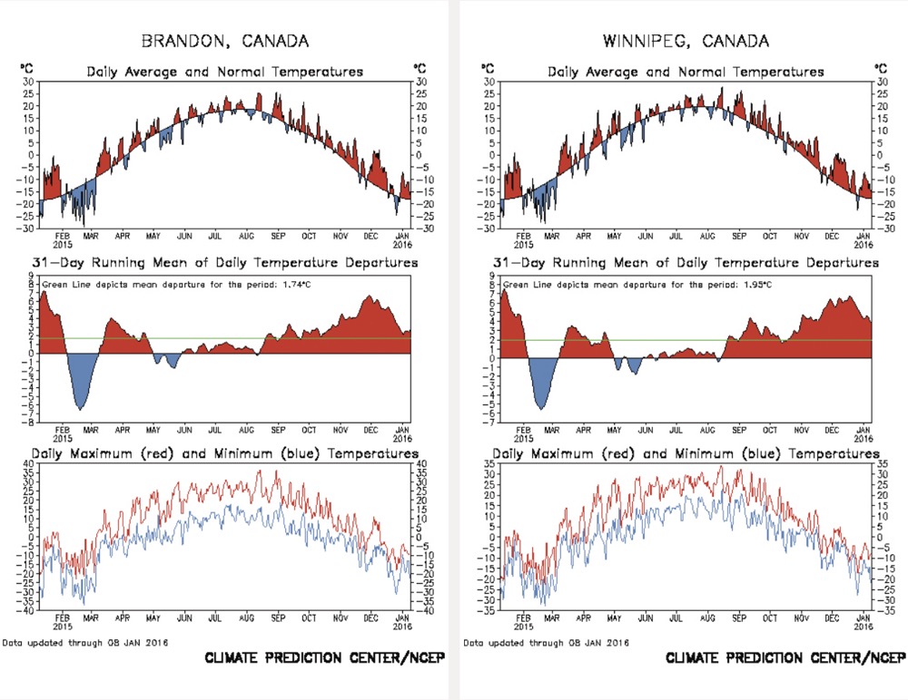 These two charts show the temperatures for both Brandon and Winnipeg over the past year. The top graph shows the daily departure from average, with red meaning above-average temperatures and blue below average. The middle graph shows the 31-day running average, which helps to smooth out the data and show the general trend in temperatures. The bottom graph shows the actual daily high and low temperatures.