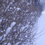 December’s weather roundup