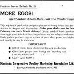 Post-war conditions saw increased need for chicks, eggs