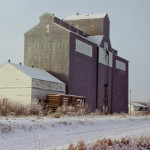 Searle (Elmhurst Road in Winnipeg). This 285,000-bushel elevator,  with its two annexes, was constructed by the Searle Grain Company.  Merged with Federal Grain in 1966, the elevator was sold to Manitoba  Pool in 1972, which used it for seeds and special crops. It was  demolished around 1978.