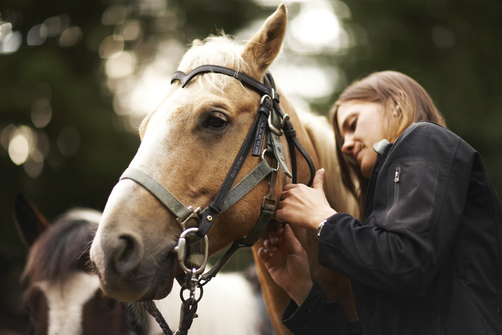 woman and horse