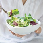 Take a 100-Meal Journey