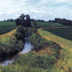 The state of Minnesota has made buffer zones mandatory as a way of protecting streams from nutrient run-off. But a Manitoba researcher says they may not be as effective as first believed.