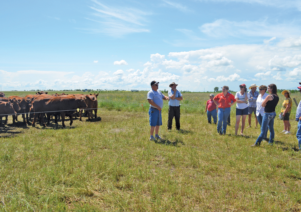 Brian Harper discusses his high stock density grazing program during a summer field tour on his operation last year.