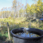 Off-site watering systems can improve herd health by reducing foot rot and increase carrying capacity.