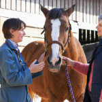 Veterinarians are getting a better picture of what goes on in a horse’s gut by using high-tech tools from the world of human medicine.