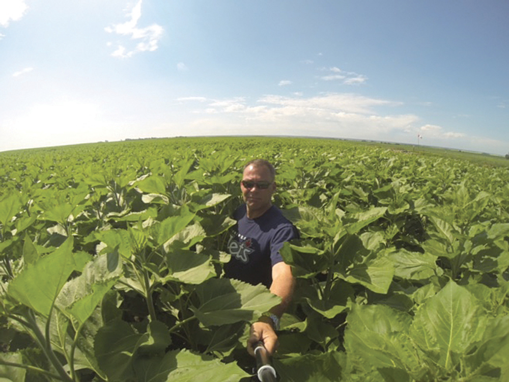 Arthur Bell (seen here in this sunflower field) has been variable-rate seeding corn near Boissevain for the past three seasons.