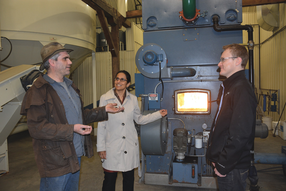 Andy Martin (l) of Providence College discusses cattail biomass with Dimple Roy (c) and Richard Grosshans (r) of the International Institute for Sustainable Development.