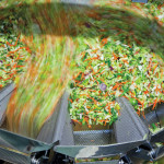 Canadian food manufacturers want enough time to carefully analyze a proposal to lower ingredient tariffs.