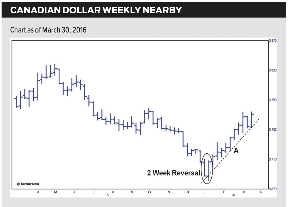 Drozd: Loonie turns up following two-week reversal