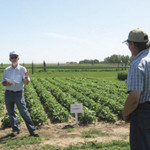 Soil scientist Frank Larney showcases his work at a field day, which is an open house for farmers and agriculture industry representatives to learn about the latest field research.