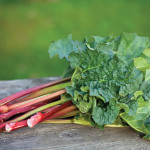 Rhubarb is a harbinger for the flood of fresh produce we can all expect to enjoy over the coming months.