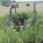 Sealing an abandoned well will prevent accidents and protect groundwater from contamination.