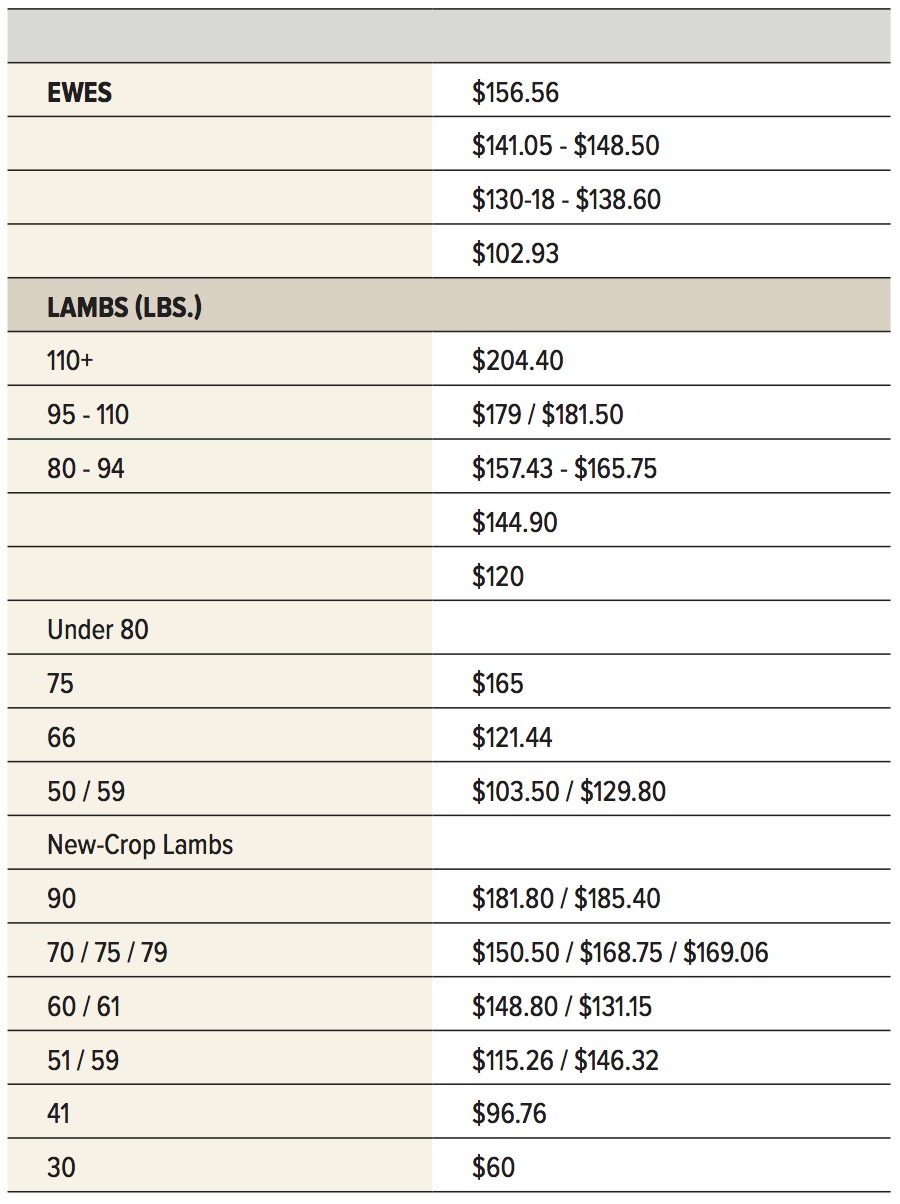 New-crop lambs arrive for Orthodox Easter season