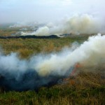 Burning permits cancelled in Western, Central and Eastern Manitoba