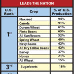 North Dakota is leading the nation in some products, but not in farm profits.