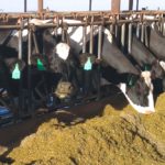 Editorial: Time to change