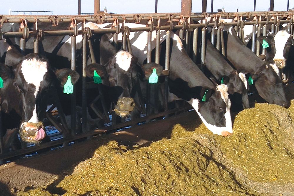 Editorial: Time to change