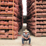 Tall stacks of garlic at a market in Jinxiang county of eastern Shangdong.  