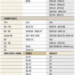 A buyer’s sale as summer herd preparation arrives