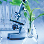 Canada to regulate CRISPR technology