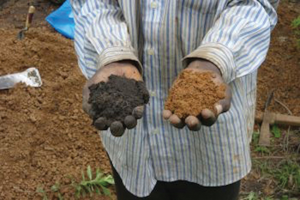 The soil created by adding charcoal and kitchen waste, at left, is visually superior to the usual red African earth on the right.