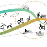 The FAO’s principles of sustainability say yield should not be the only criterion for farming, and that current intensification is detrimental to crop and animal biodiversity.