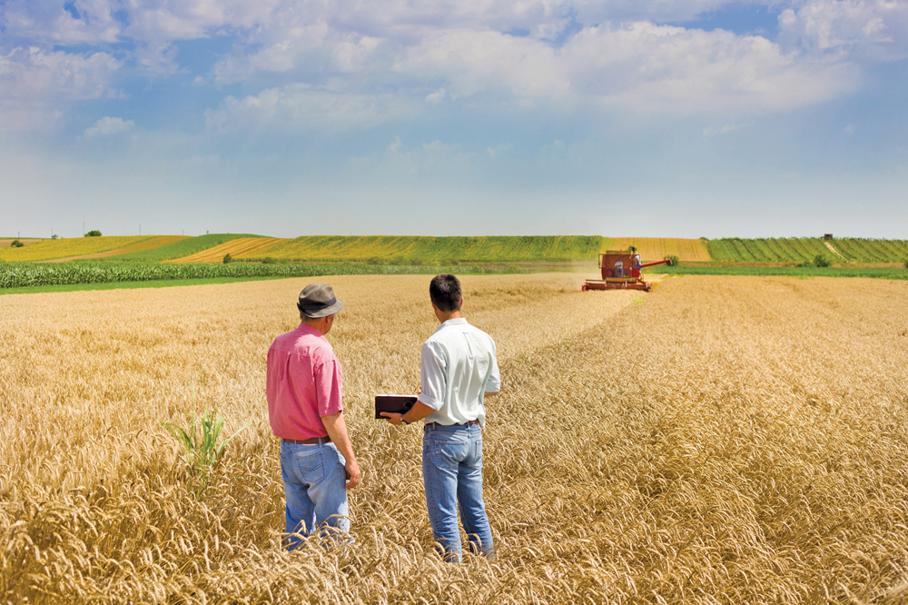 Farmers want and need resources for mental health: survey