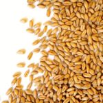 Editorial: Big crops on the horizon