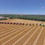 Local resident, Brian Archibald, captured a number of drone images of the Killarney Grow Project’s harvest day action.