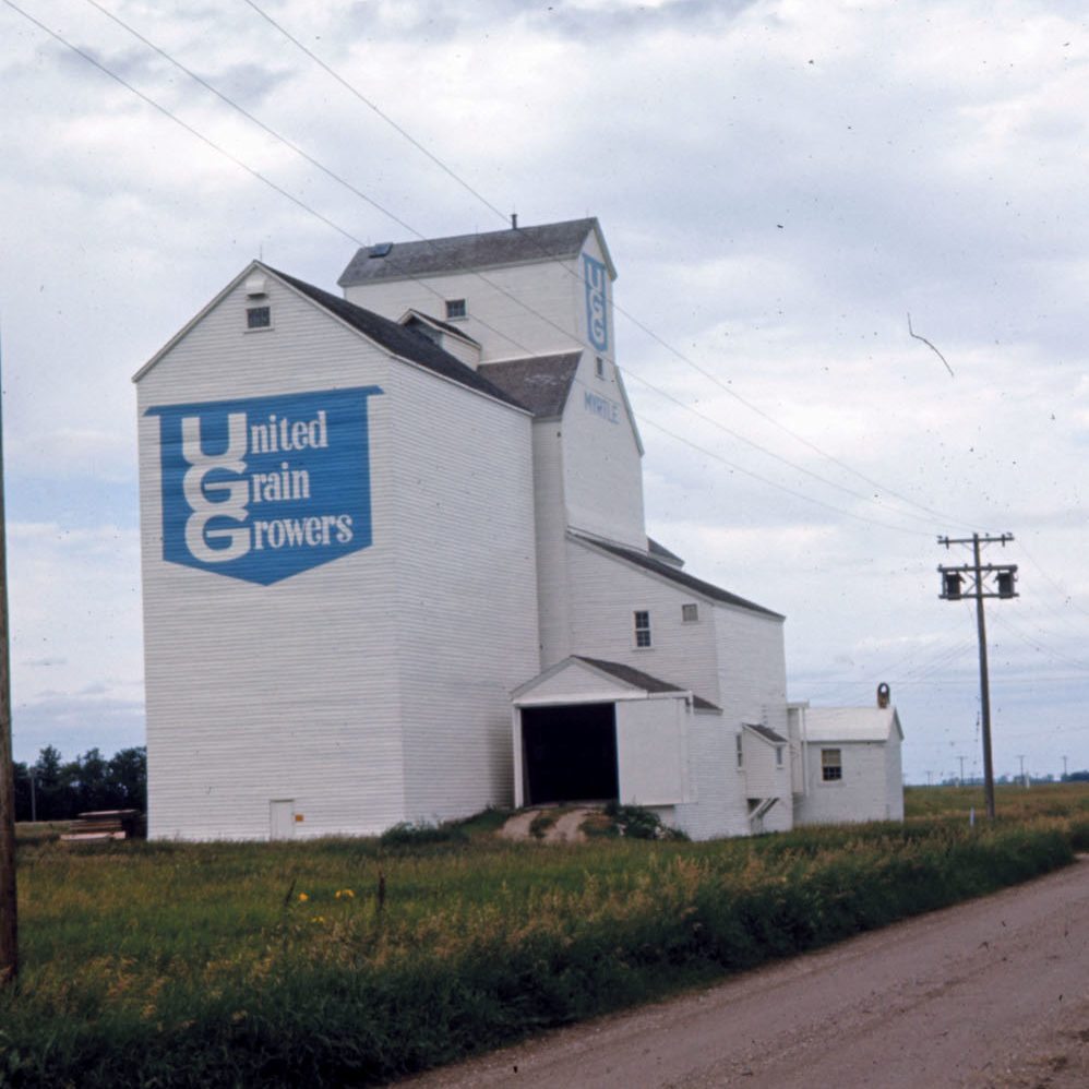 A grain elevator and annex at Myrtle, on the CNR Miami Subdivision in the Rural Municipality of Roland, was built in 1928 and operated by United Grain Growers. Seen here in 1966, the complex was closed and demolished in 1984 after a new, larger elevator was opened at nearby Roland.