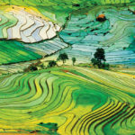 Humans have been farming rice far longer than originally thought.
