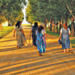 A group of Hutterite women returns from the fields at sunset.